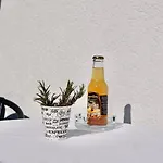 Tex Apartment *