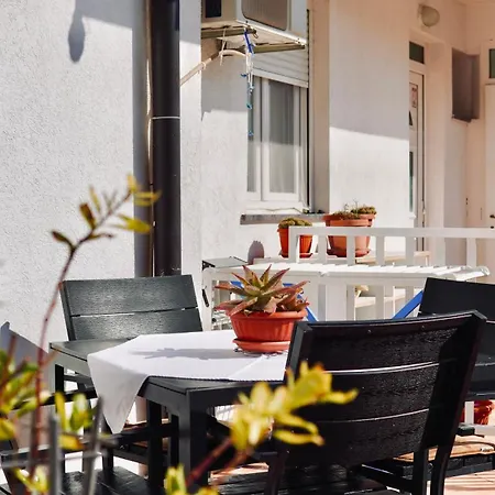 Tex *